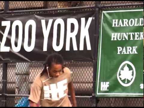 NY Clips: HAROLD HUNTER DAY X via Zoo York (2016)