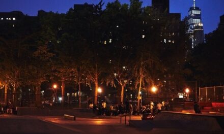 Petition: Install lights in NYC skateparks (2020)